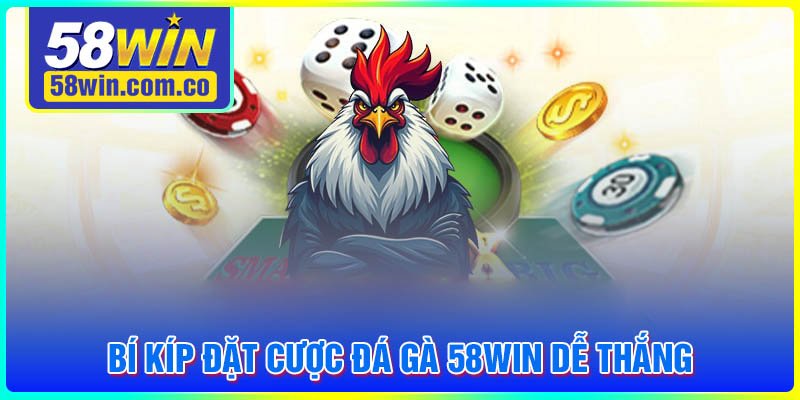 Bí kíp để chơi đá gà 58WIN thắng cược dễ dàng