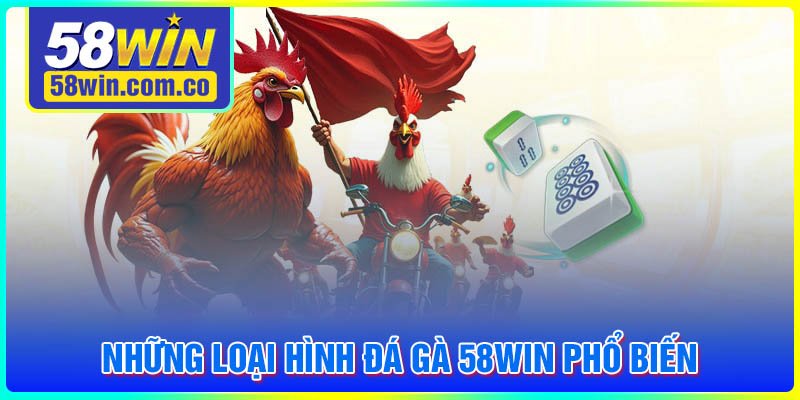 Những loại hình Đá gà 58Win đáng chơi nhất