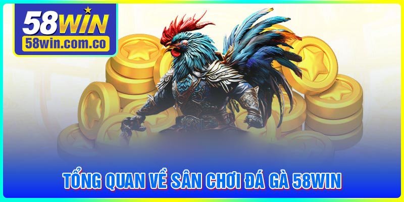 Tổng quan về sân chơi Đá gà 58Win